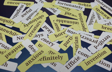 Naklejka premium English vocabulary cards on blue board