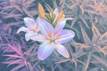 Fototapeta premium A garden gate adorned with blooming flowers, forming a heart-shaped archway. Beautiful simple AI generated image in 4K, unique.