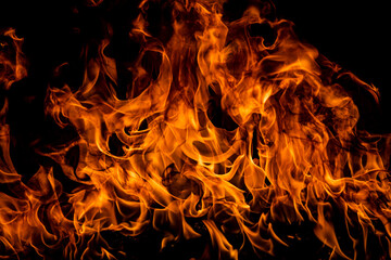 Texture of fire on a black background. Abstract fire flame background, large burning fire. © Volodymyr