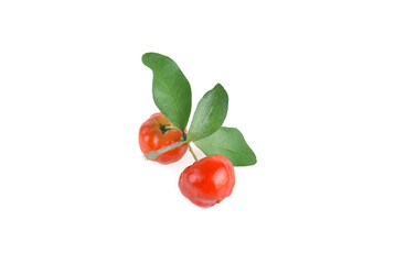 Acerola small cherry fruit with leaf isolated on white background.