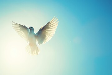 Fototapeta premium Memorial Day peace depicted with a minimalist silhouette of a dove soaring focus on, serene remembrance, futuristic, manipulation against a clear blue sky backdrop