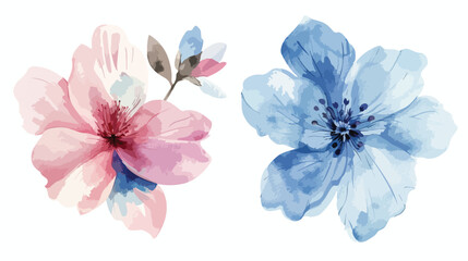 Watercolor pink and blue flowers. Greeting card wedding