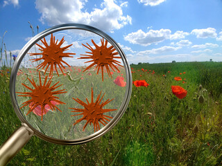 Magnifying lens with simulated allergen, germs, seasonal allergies concept. Wild fields with herbs,...
