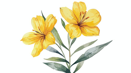 Yellow wild flower watercolor drawing. Botanical flor
