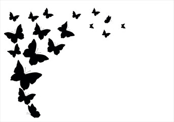 black  butterfly shape illustration vector