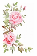 Fototapeta premium pink rose themed frame or border for photos and text. watercolor illustration, Perfect for nursery art, simple clipart, single object, white color background. for invitation, wedding or greeting cards