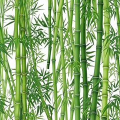Fototapeta premium several bamboo branches with green leaves, illustration