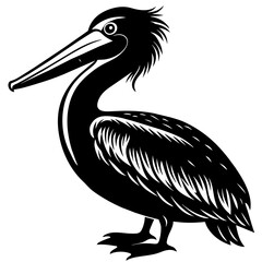 Pelican Vector Silhouette