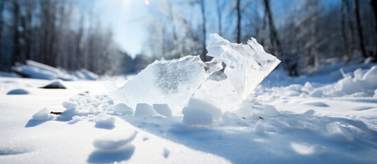 A close up image of a broken snow with a forest in the background is available as a copy space image