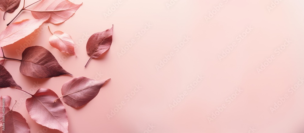 Poster a beautiful fall themed composition with dried leaves on a pastel pink background it features a flat