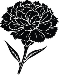 illustration of a flower