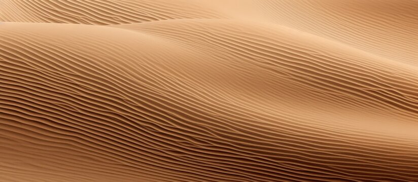 This sentence seems to be incomplete as it only consists of the phrase Sand lines Can you please provide more context or clarify what you would like me to paraphrase. Copyspace image