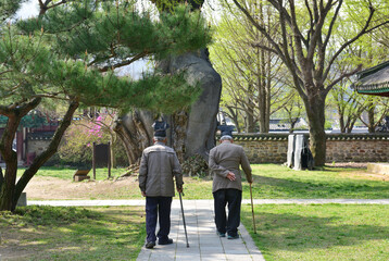 The appearance from behind of a Korean Confucian old men walking with a cane.