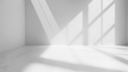A clean, seamless white background with a light shadow effect around the edges, giving a subtle sense of depth