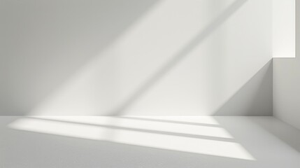 A clean, seamless white background with a light shadow effect around the edges, giving a subtle sense of depth