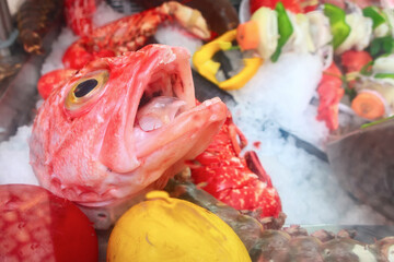 Ocean Perch on display at the store
