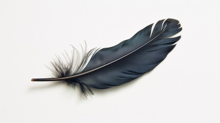 Black goose feather delicately poised against a pristine white backdrop.