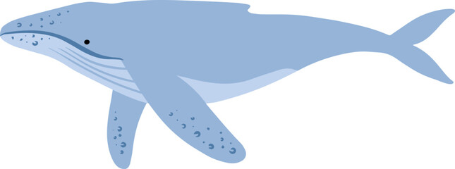 Humpback Whale Cartoon Illustration Kids Clipart