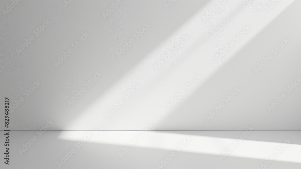 Poster a plain white background with a soft shadow effect around the edges, giving the image a subtle sense