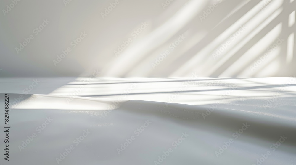 Poster a plain white background with a soft shadow effect around the edges, giving the image a subtle sense
