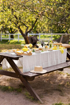 Wooden picnic table decorated with various food near tree