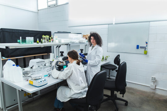 Confident scientist standing by colleague looking through microscope in laboratory