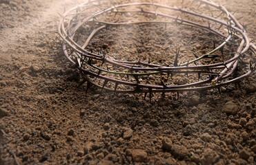 Thorn wreath with crown shadow