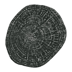 Wood texture cross section of tree rings. Cut slice of wooden stump isolated on white. Textured surface with rings and cracks. Black background made of hardwood from the forest. Vector, EPS 10.	
