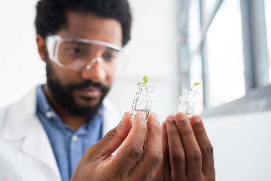 Young scientist examining sprouts in vials at laboratory