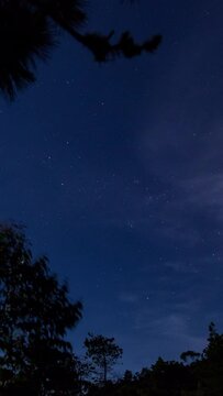 Vertical video - Timelapse of starry night sky