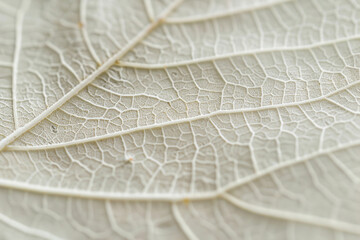 Generative ai on theme of beautiful texture leaf from tree for design natural abstract background