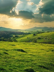 Obraz premium Scenic landscape with blue skies and white clouds, distant rolling hills, and foreground of grassland and trees