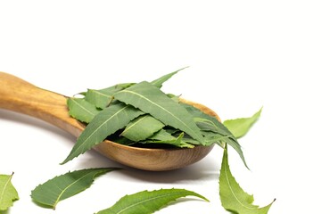 Azadirachta Indica Leaves or Neem Leaves in a Wooden Spoon Isolate on White Background with Copy Space, Also Known as Margosa, Nimtree or Indian Lilac, Uses Ayurvedic\
