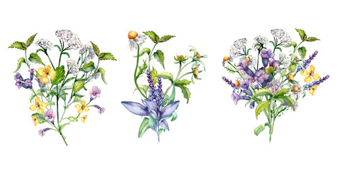 Set of bunch meadow herbal flowers watercolor illustration isolated. Chamomile, yarrow, celandine medicinal plants in botanical sketch style. Nettle, sage hand drawn. Design for label, package © Ekaterina Lanbina