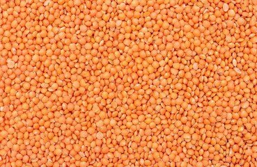 Masoor Dal or Red Lentil Background with Copy Space in Horizontal Orientation
