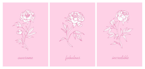 Flower card with peony blossom. Floral branch, outlined contoured blooming plant. Beautiful botanical postcards set. Garden stems, posters in retro vintage style. Hand-drawn vector illustrations