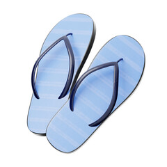 flip flops 3D illustration. sandal