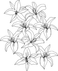 Obraz premium Black and white flower bouquet composition. Floral line art, hand drawn illustration svg, wildflowers