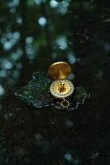 compass in forest, dark natural abstact background. Navigation Orientation concept in explore,...