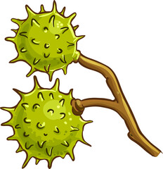 Chestnut Nut Colored Detailed Illustration
