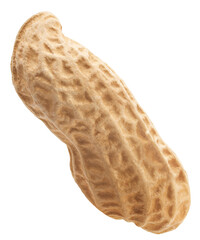 Single peanut isolated