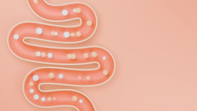 Loop motion of lactic acid bacteria moving along the large intestine, 3D graphics