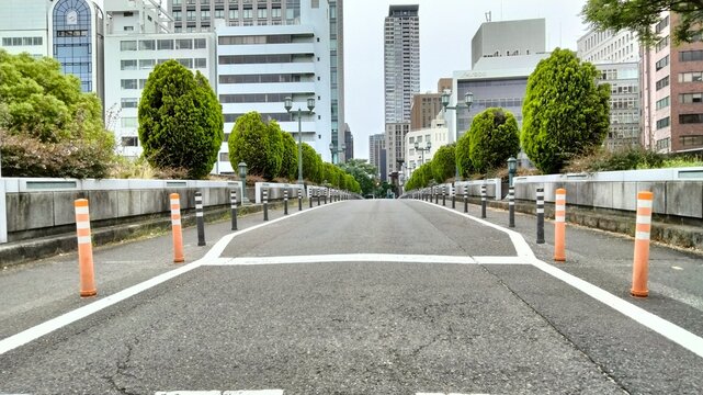 Nakanoshima Park, Rose Garden, Osaka, Japan