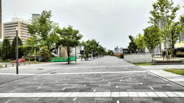 Nakanoshima Park, Rose Garden, Osaka, Japan