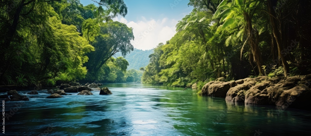 Sticker Beautiful landscape of a river in the jungle with a copy space image