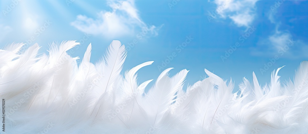 Sticker Clouds resembling feathers drift against a blue sky illuminated by the sun creating a scenic backdrop for designs with copy space image