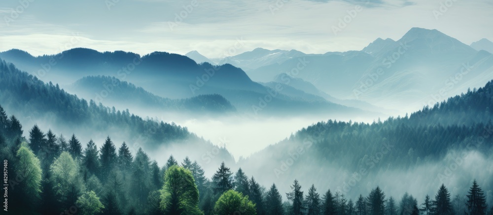 Poster scenic view of a misty forest enveloping a lush valley with a copy space image