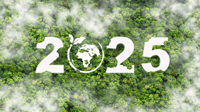 New Goals, Plans and Visions for Next Year 2025. Sustainable environment development goals, green business, ESG, Co2, SDGs, and NetZero Concept. World Environment Day. Save Earth.