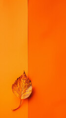 vibrant solid orange background with a single autumn leaf, cozy and festive, fall and Halloween, warm and inviting hues create a cozy atmosphere