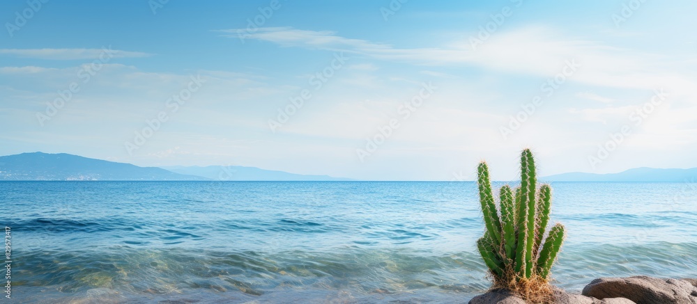 Poster a cactus set against a serene ocean backdrop with copy space image